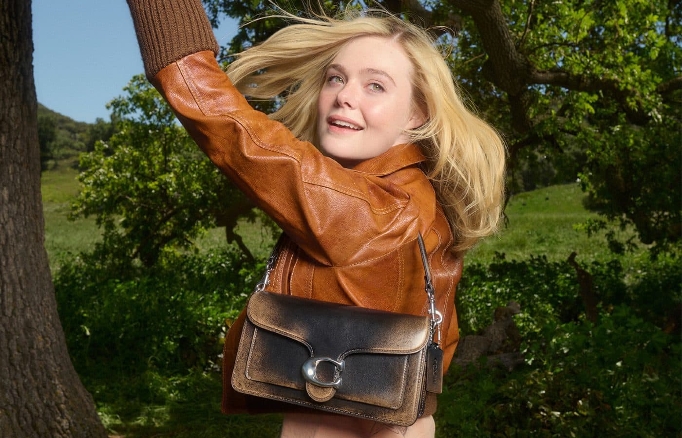 coach bag asset - tapestry win for DX