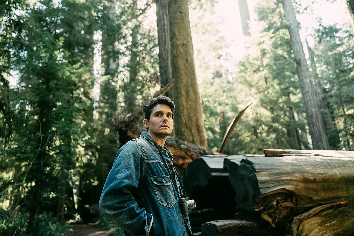 John Mayer exploring forest in Land Rover Defender campaign
